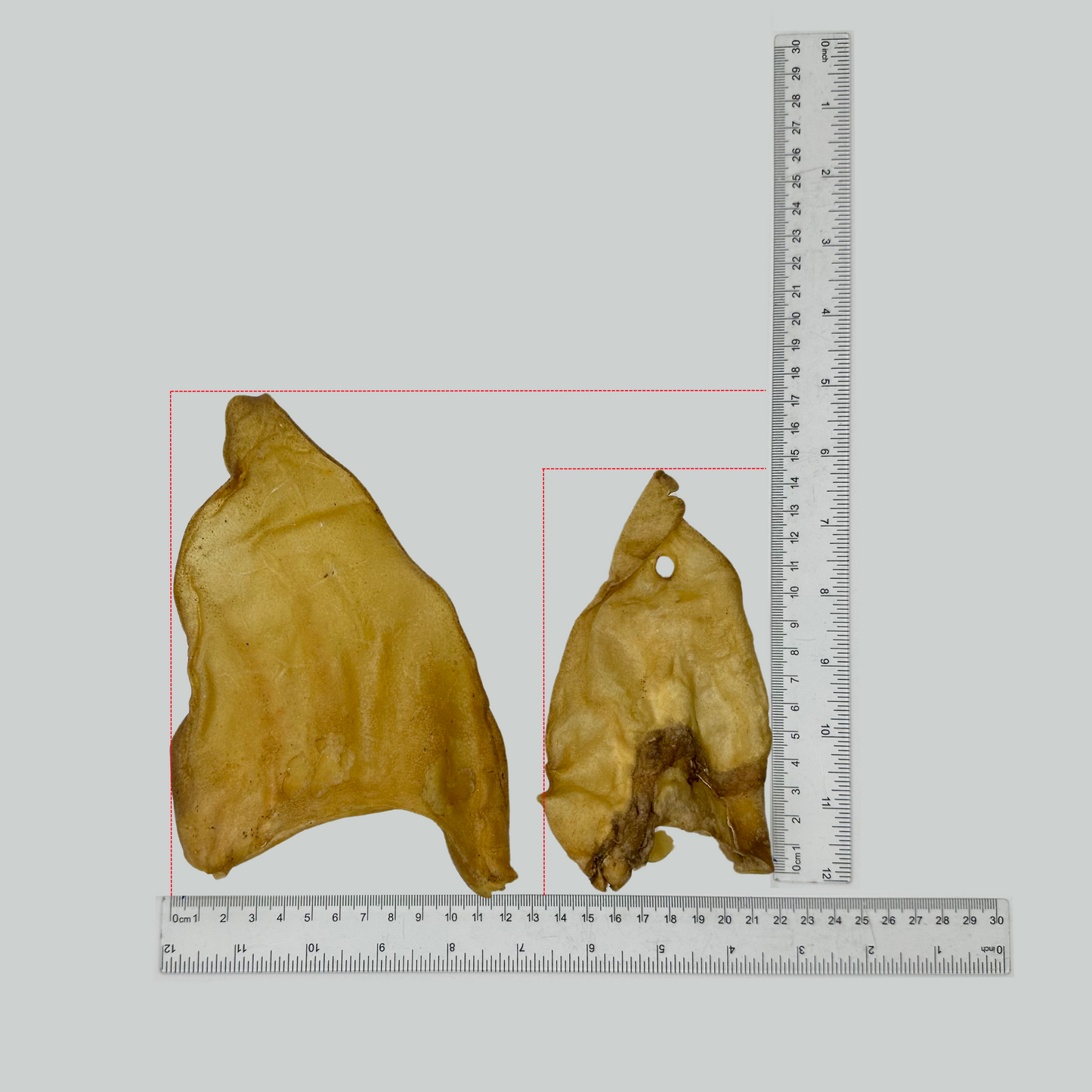 Large Cow Ear Flaps