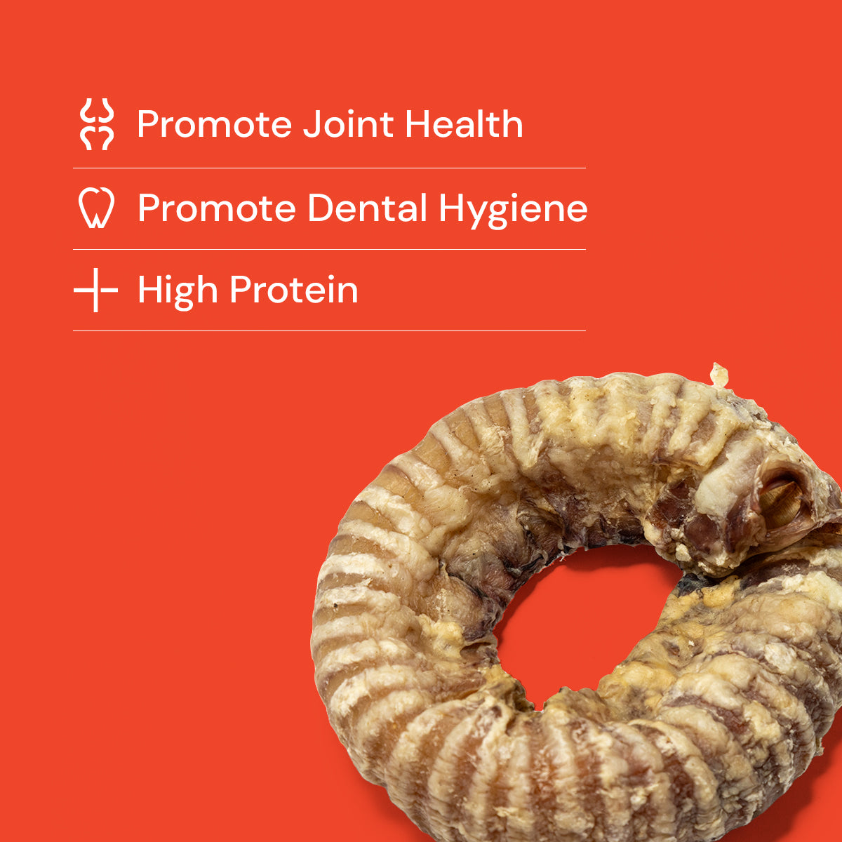 Beef Trachea Rings