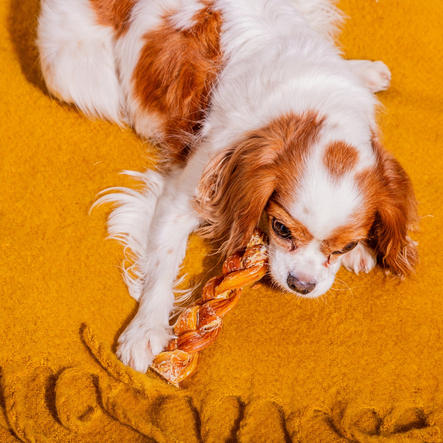 Braided Beef Tendon