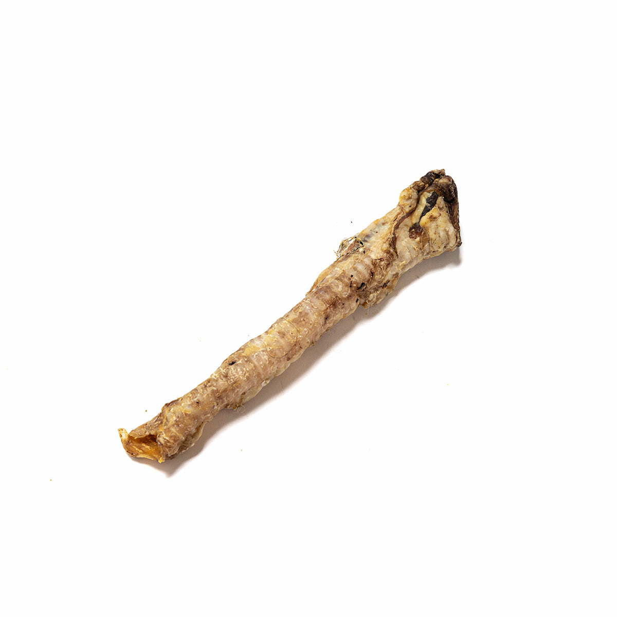British Lamb Trachea