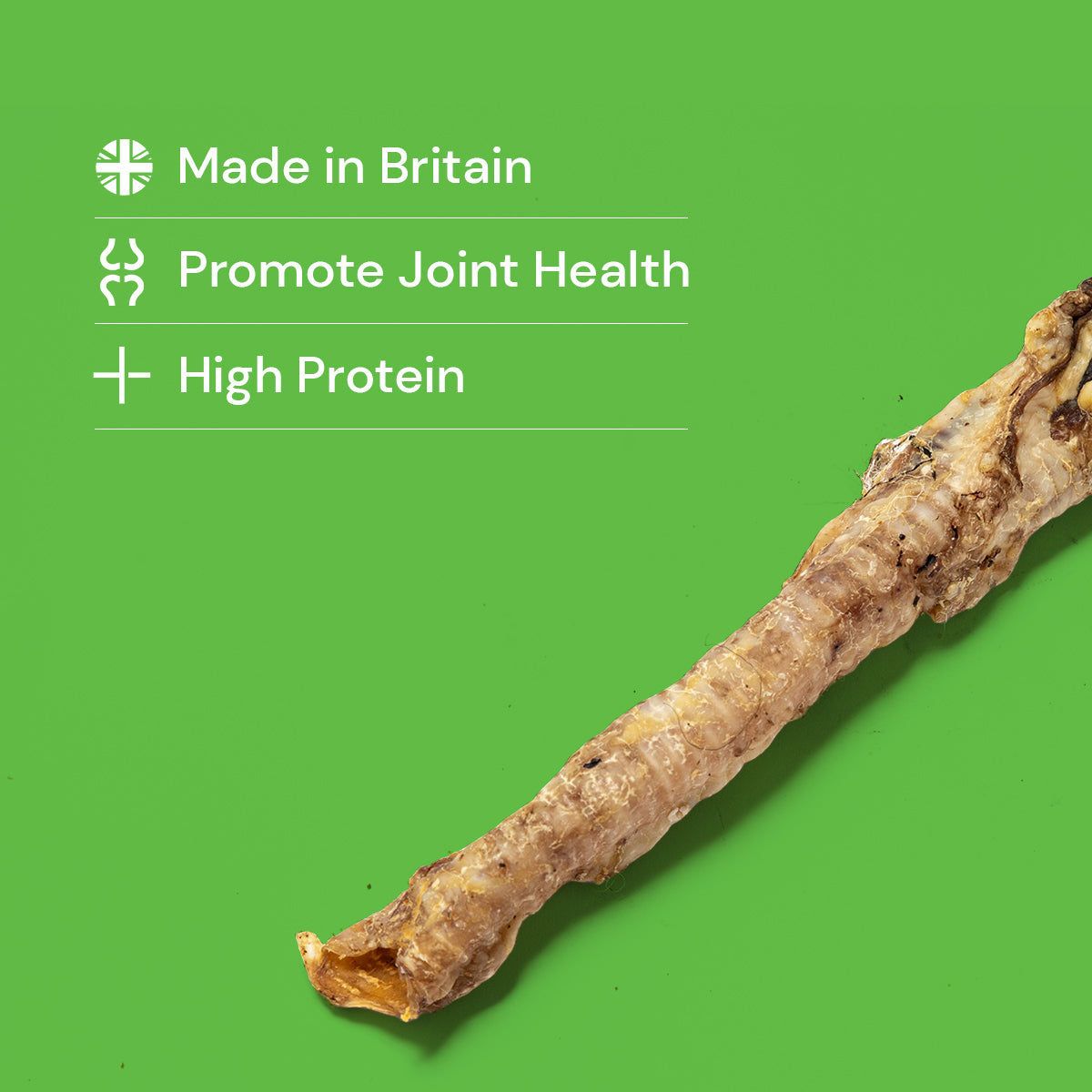 British Lamb Trachea