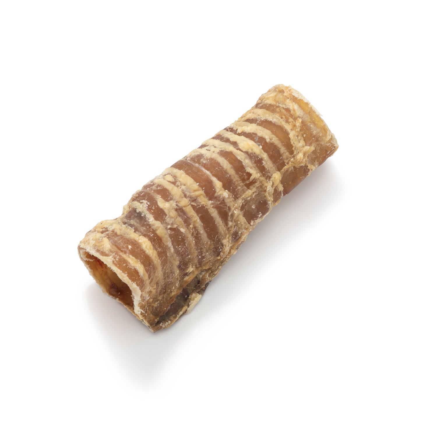Cut Trachea "Cut Gullet"