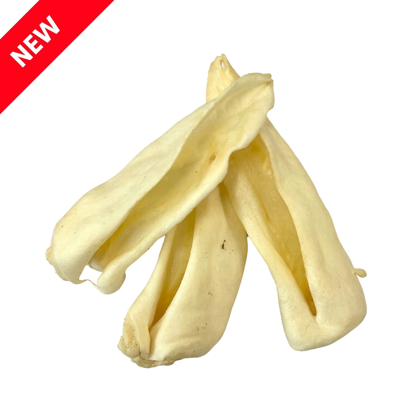 Plain Goat Ears (5pcs & 10pcs)