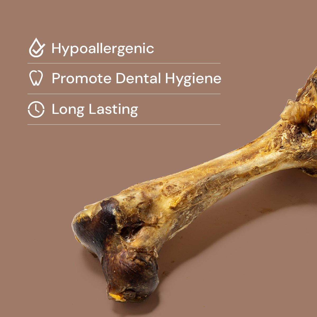 Jumbo Ostrich Bones