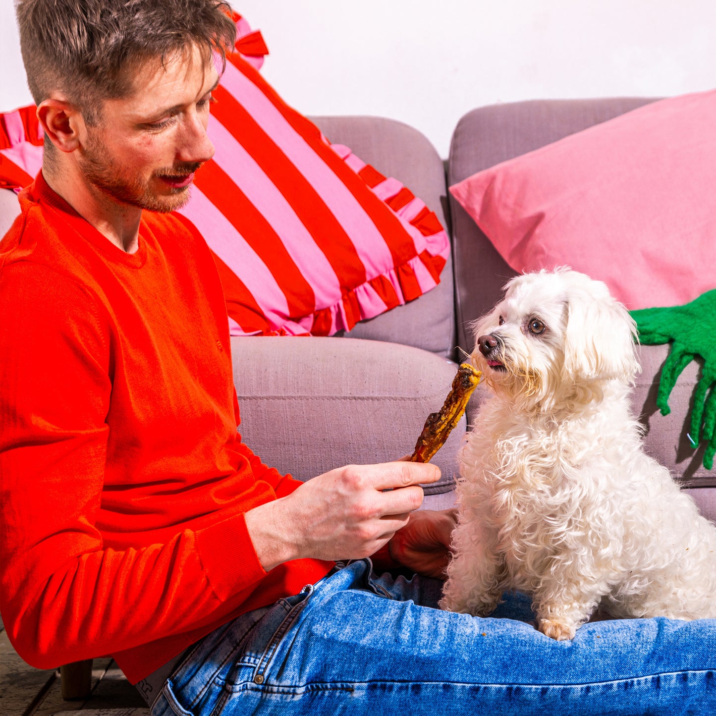 Lamb Shoulder Strips "Lamb Paddy Wack"