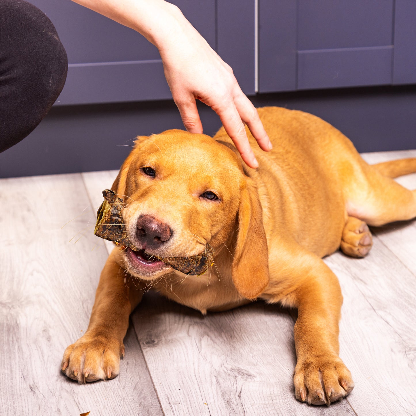 Biltong Wrapped Buffalo Tails