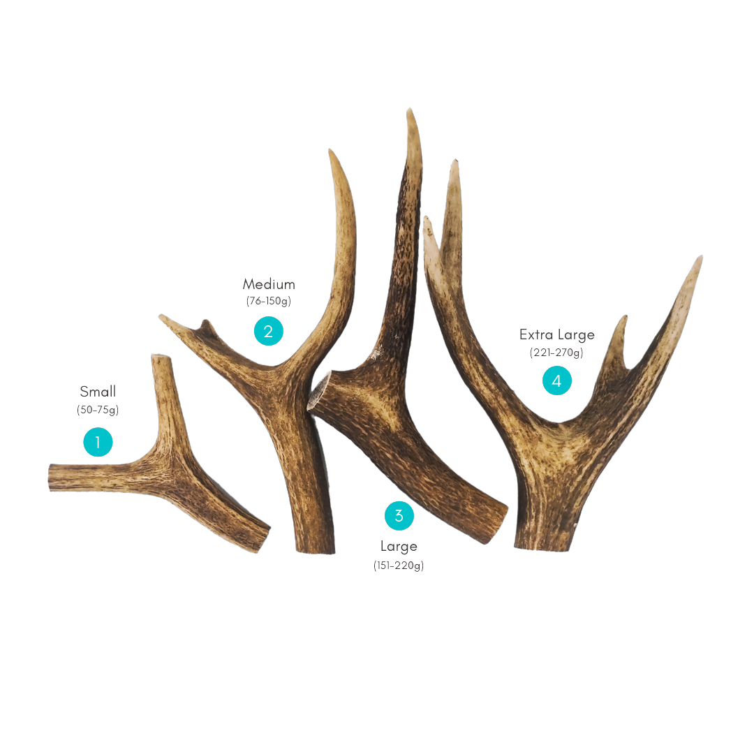 Antler dog chews 2024 wholesale