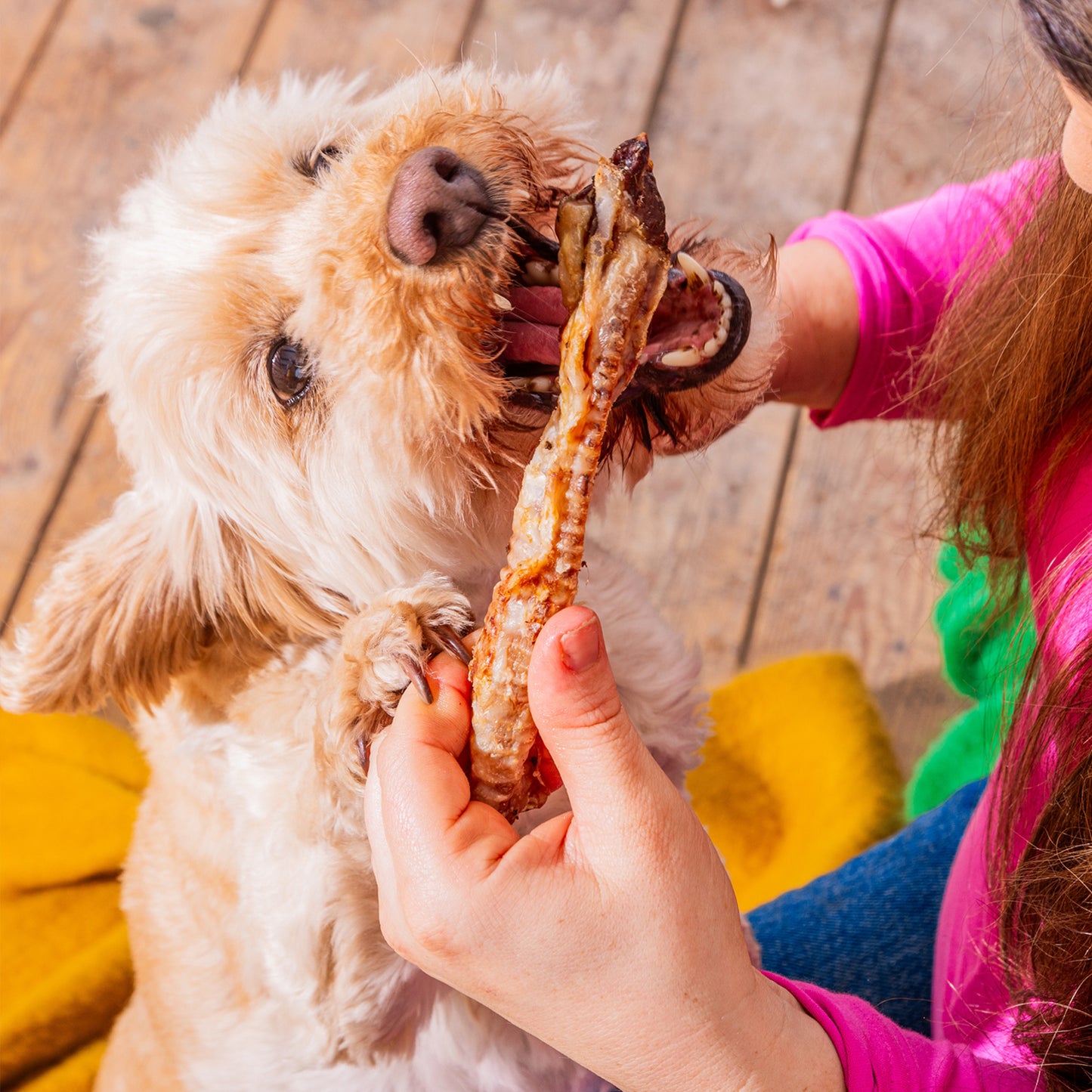 British Lamb Trachea