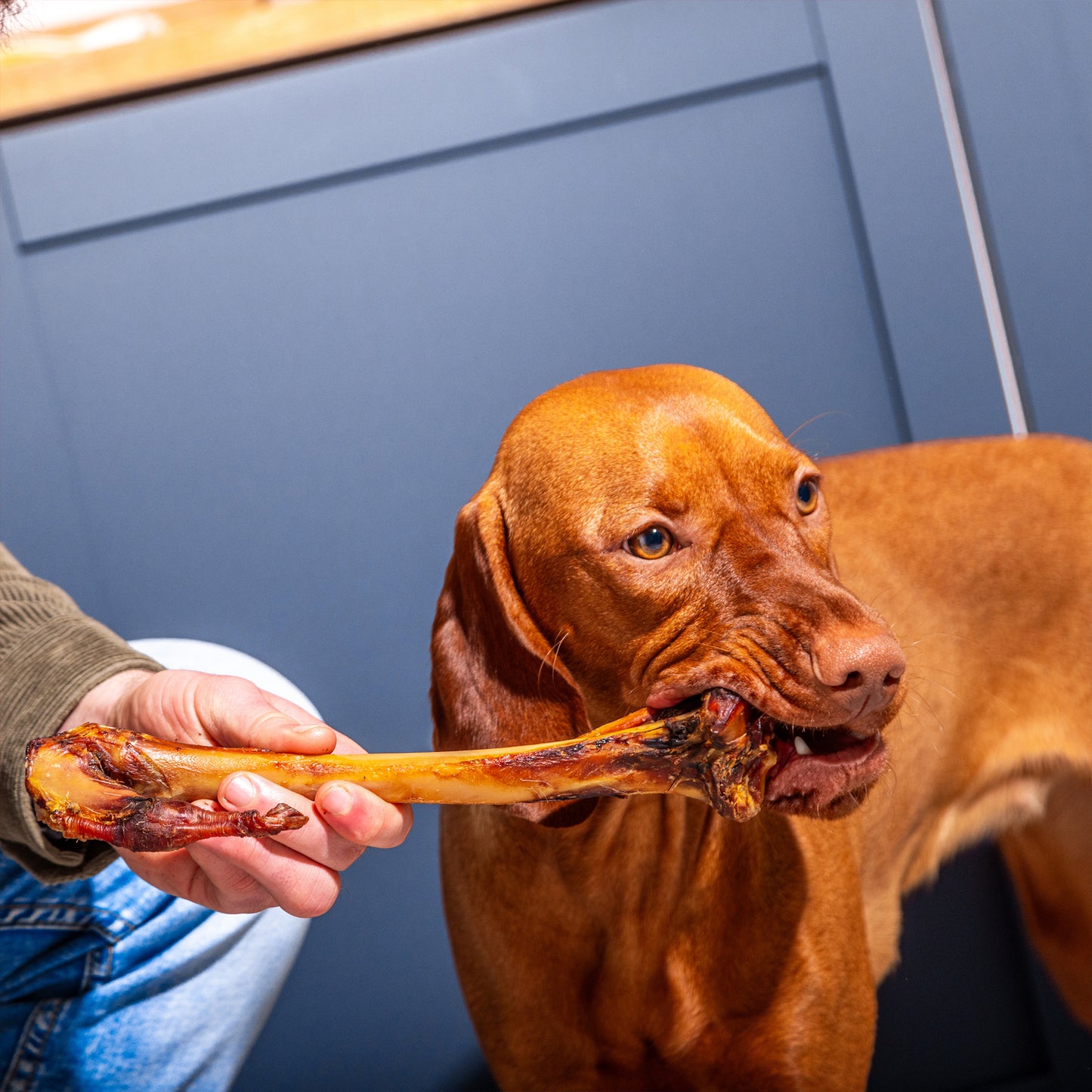 Venison (Deer) Bones - L, M & S