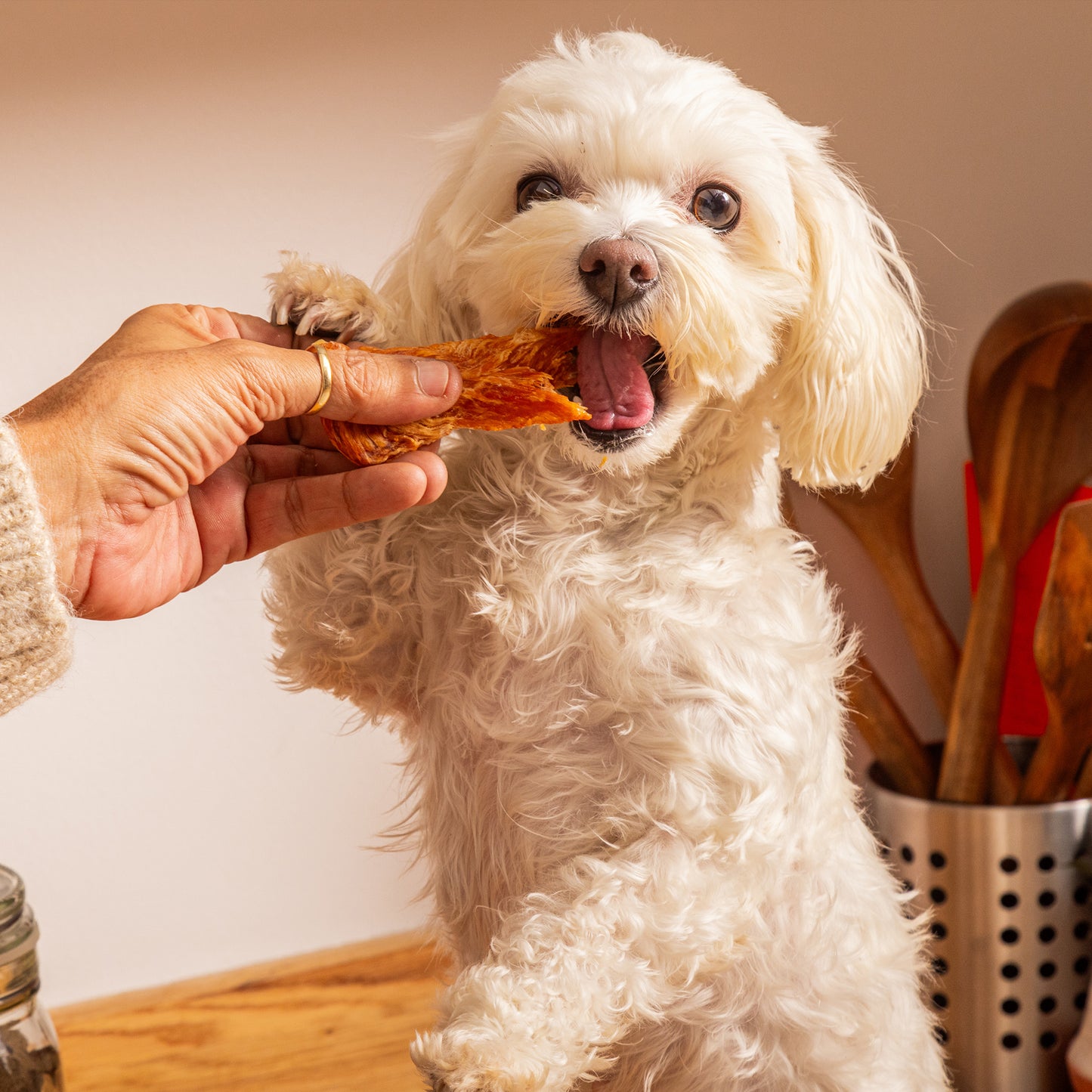 Chicken Jerky