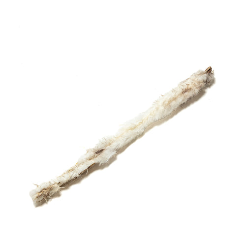 Whole Rabbit Skins with Fur