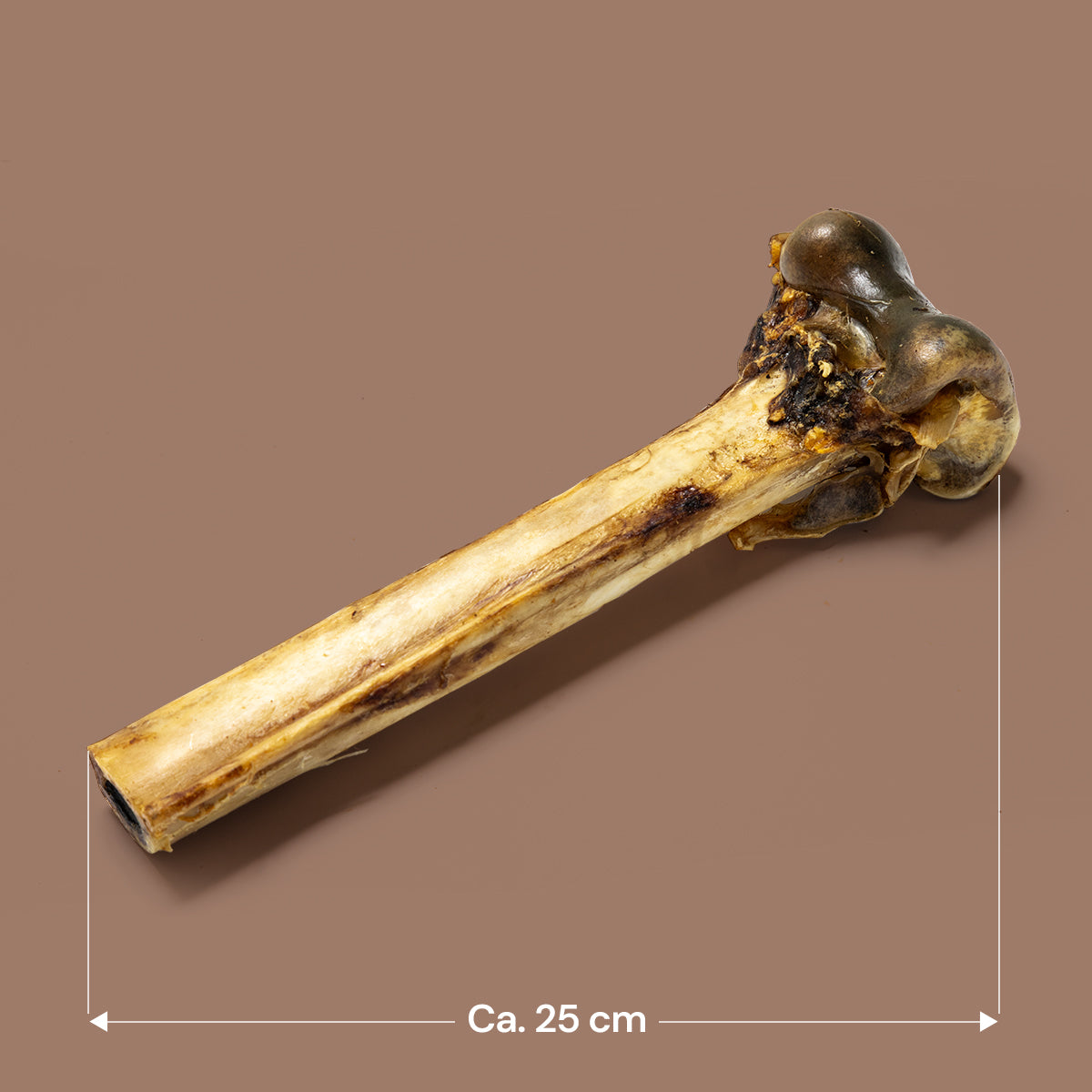 Ostrich Bones