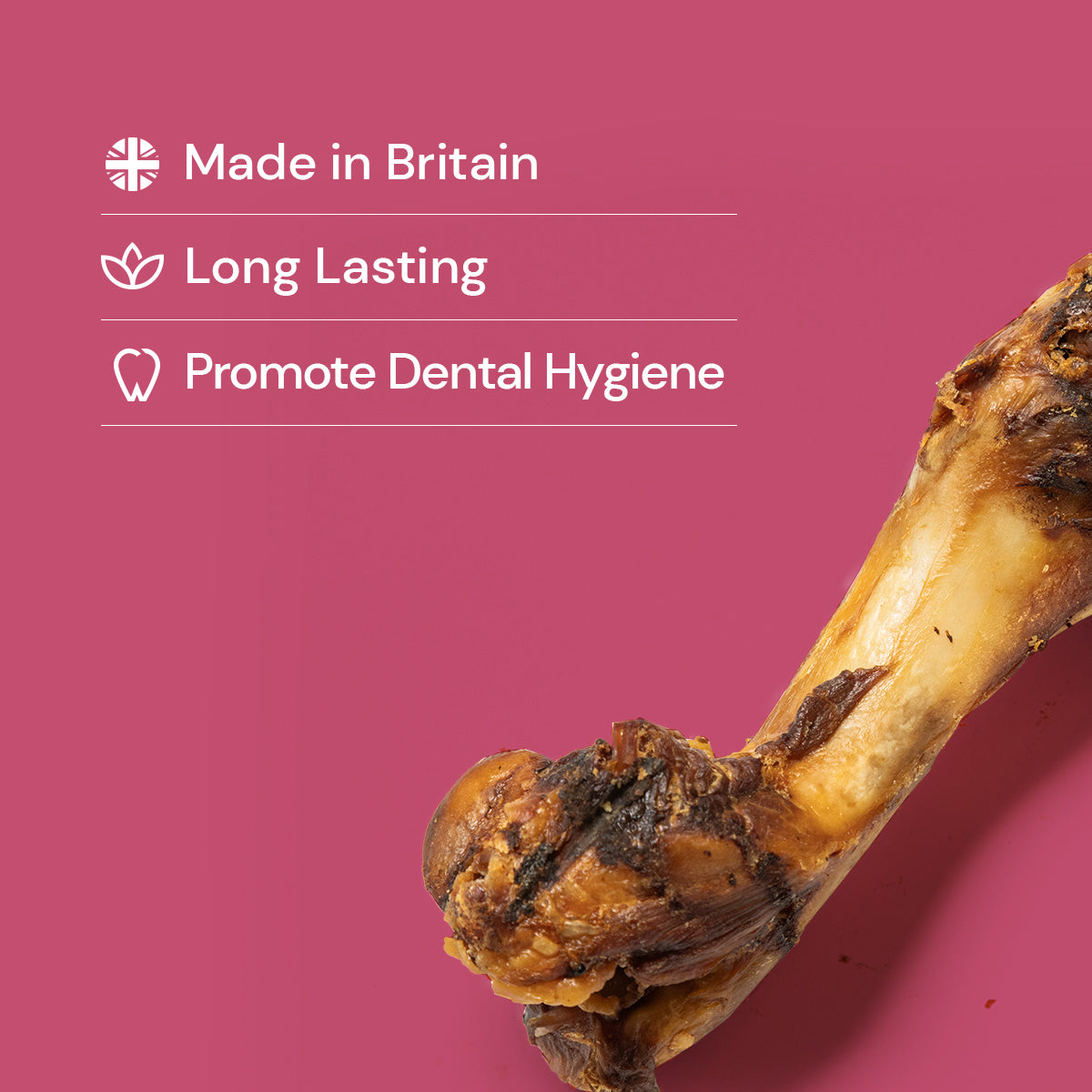 Pork Humerus Bones