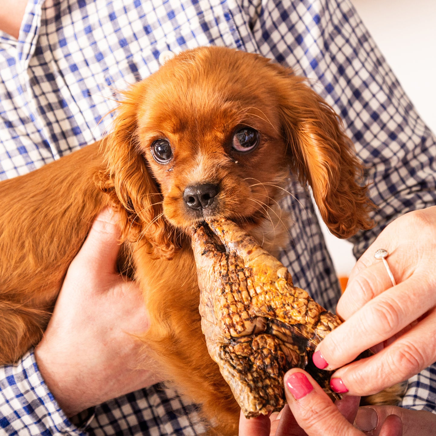 Puffed Jerky "Beef Lung"