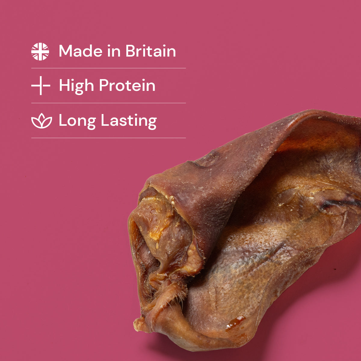 Small Pig Ears