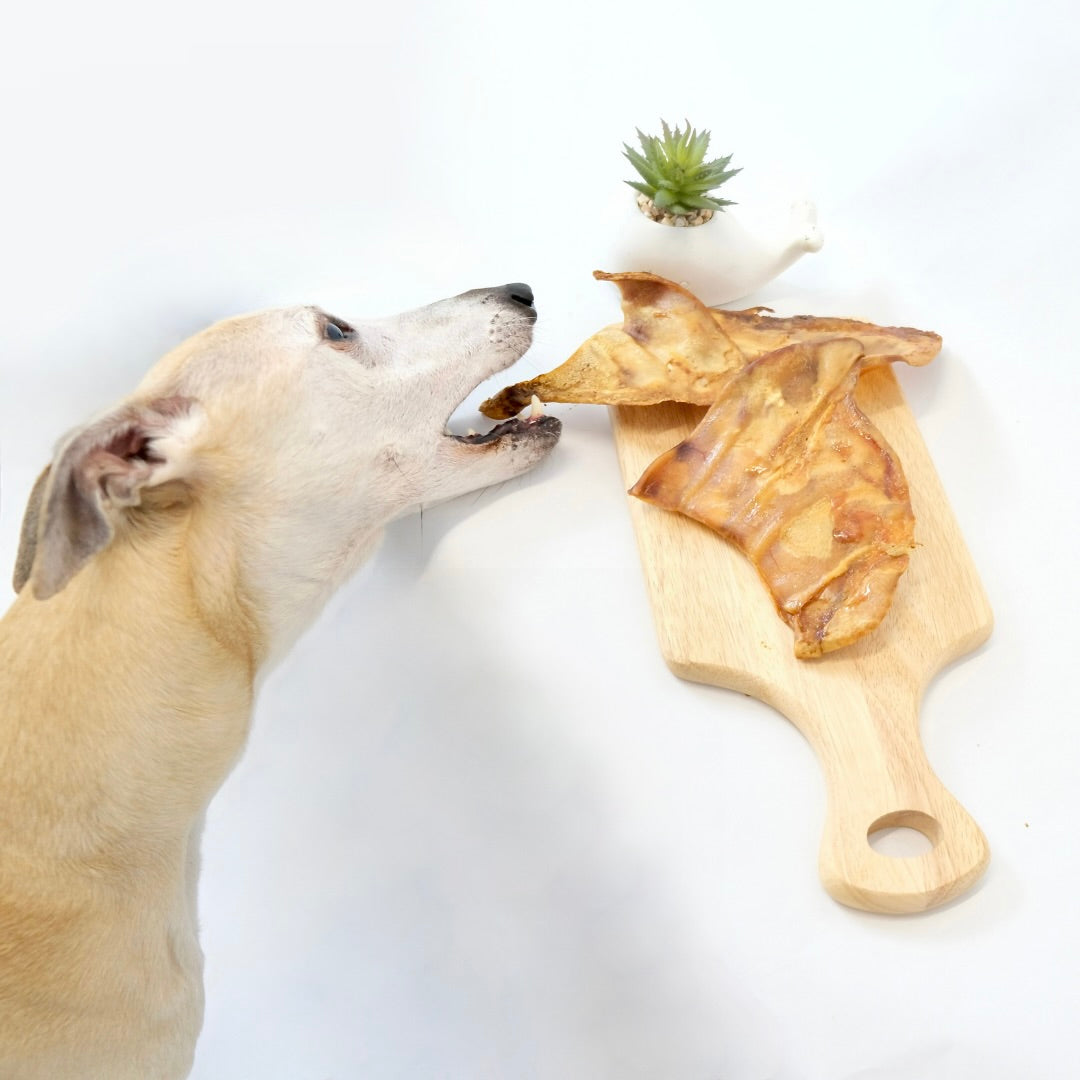 Pigs Ears - Grade B