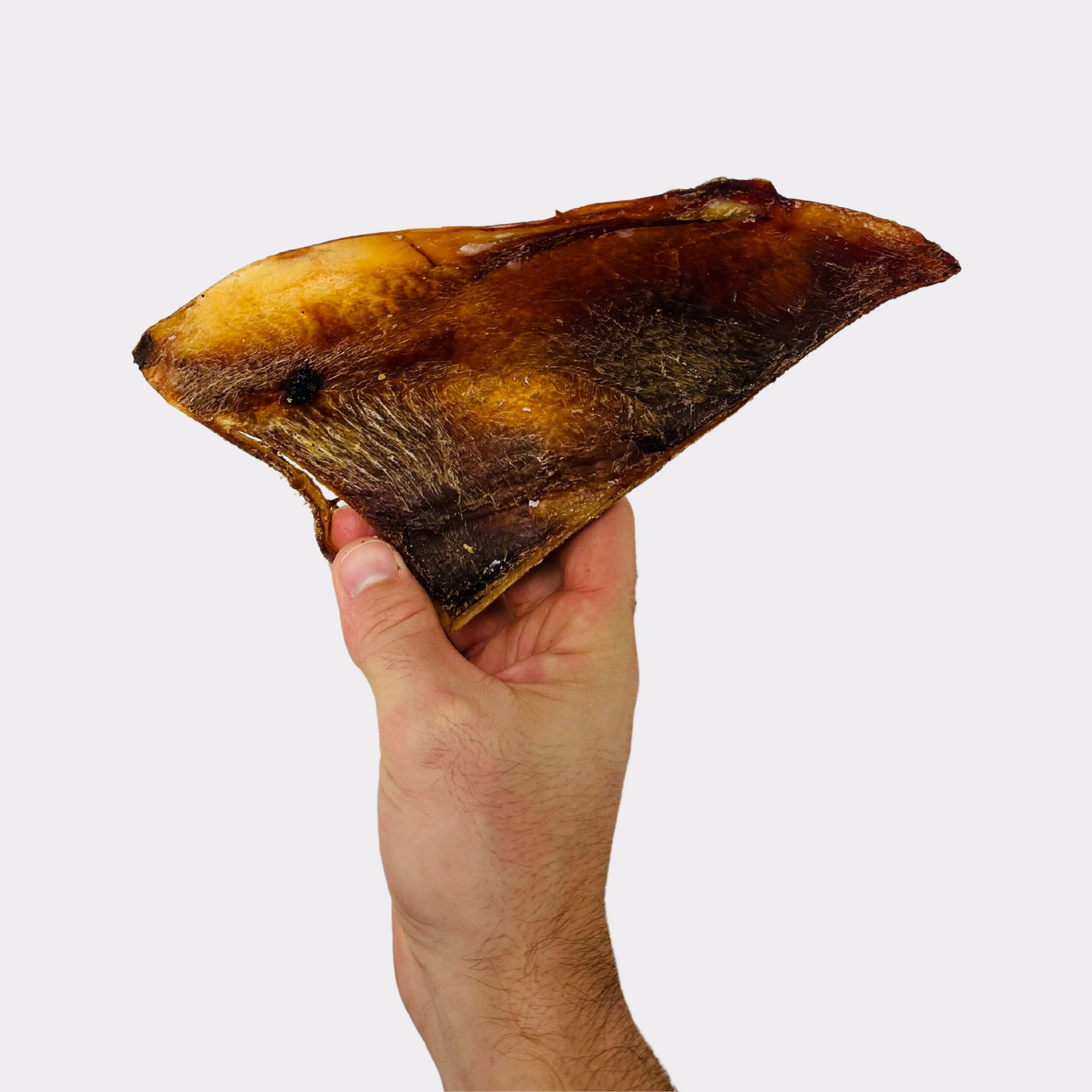 Beef Moon Bones (5pcs & 1kg)