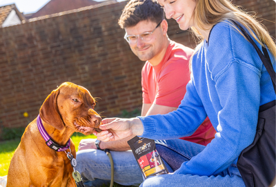 Spring Reset for Dogs: How to Refresh Your Dog’s Diet With Natural Dog Treats