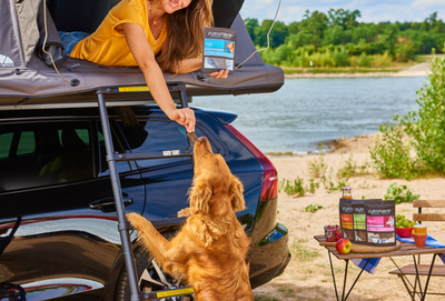 Travel-Ready Nutrition Tips for Your Dog