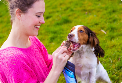 From Walks to Natural Treat Time: A Day in the Life of a Dog Mum