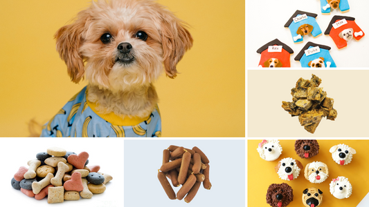 Check Out the Best Healthy Dog Treats for Puppies