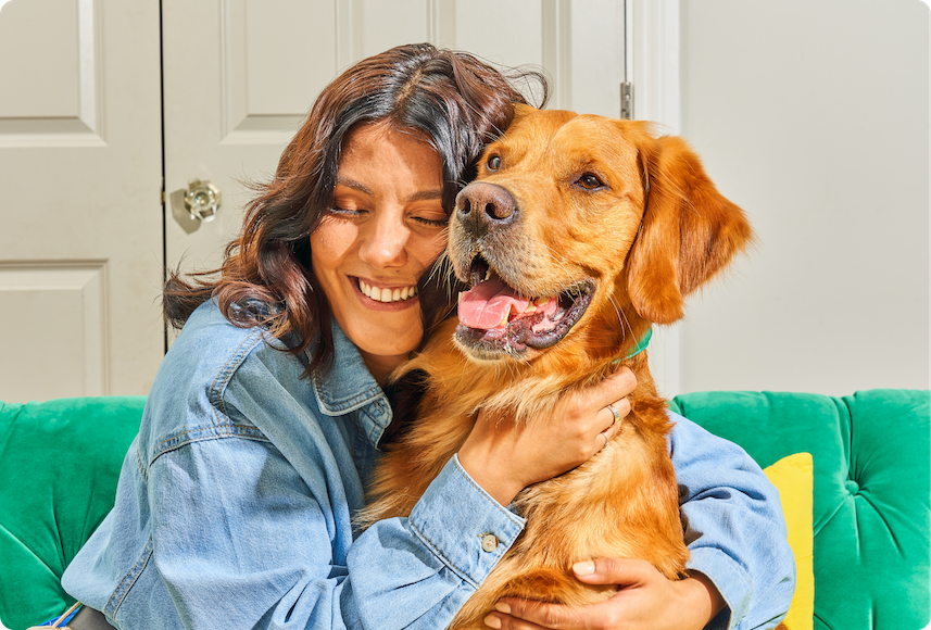 How Dogs Boost Owner Wellbeing: The Science Behind Happier, Healthier Lives Together