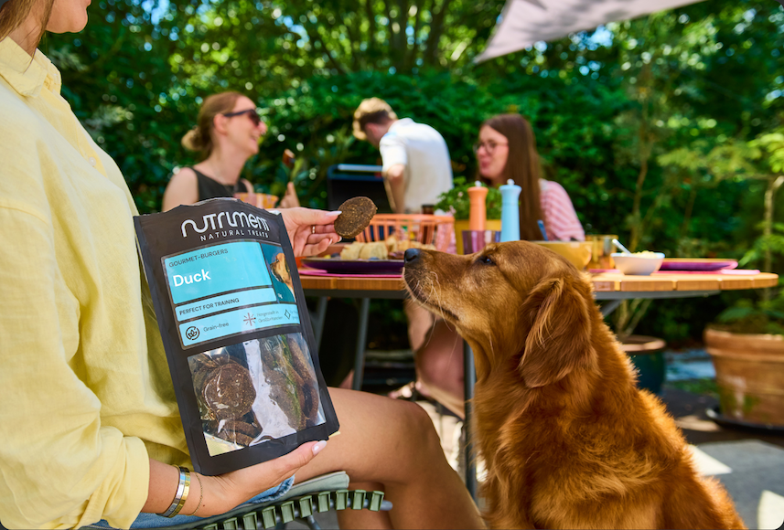 Keeping Dogs Calm in New Environments