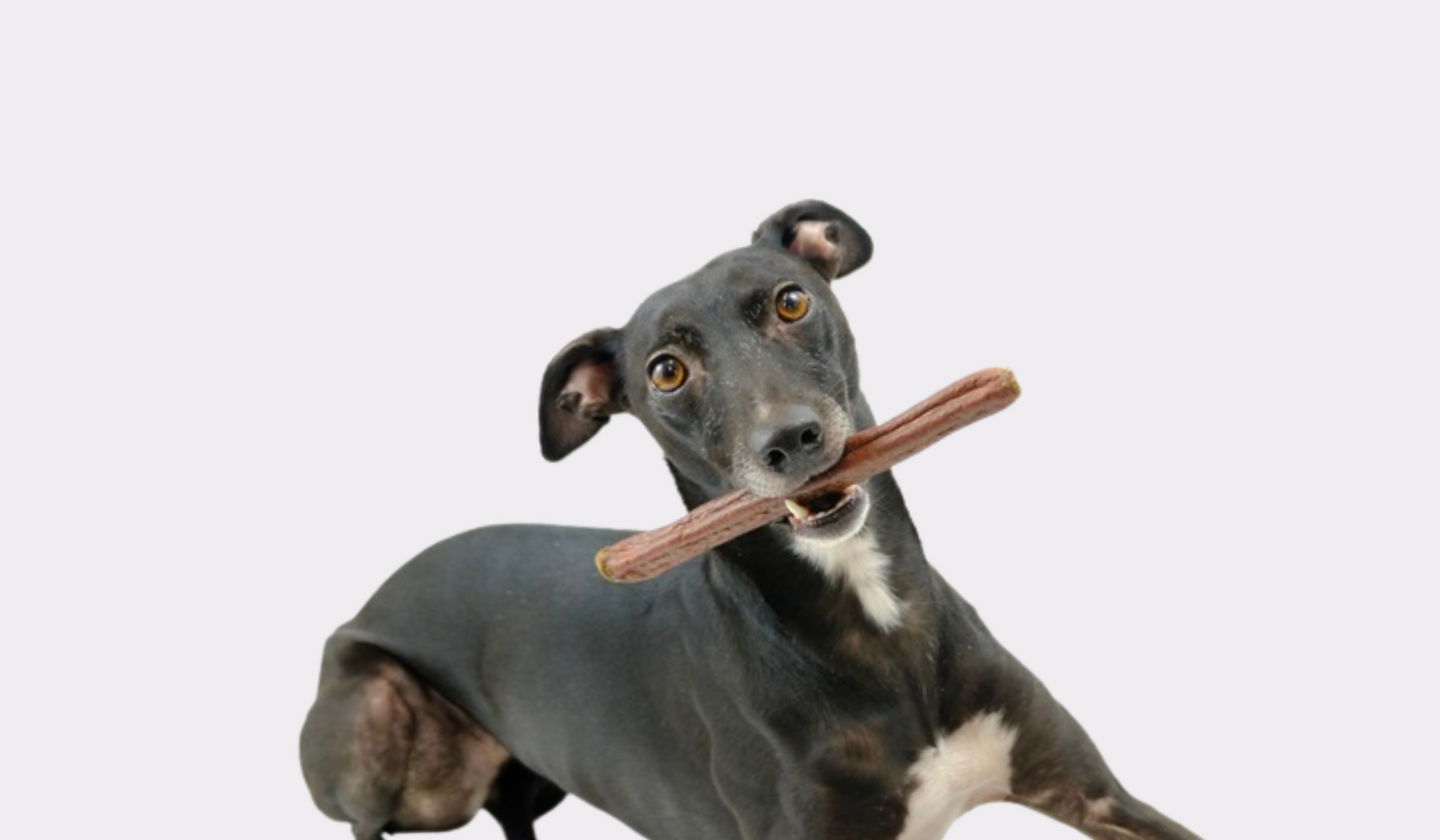 Gourmet