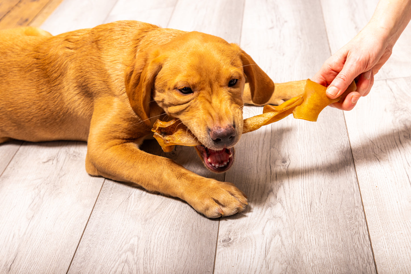 Beef Skin Chews - Cut & Long