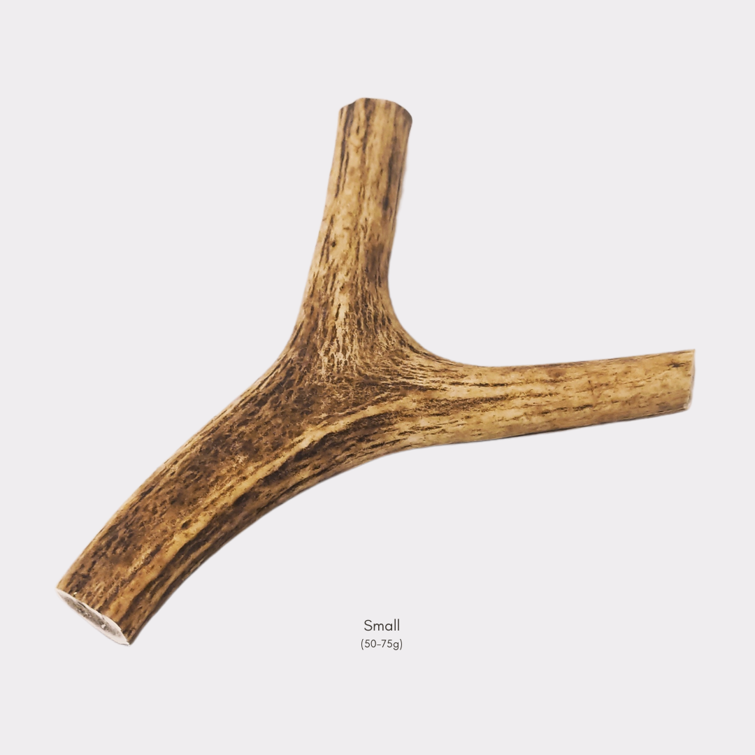 Pet treats wholesale 2024 ltd