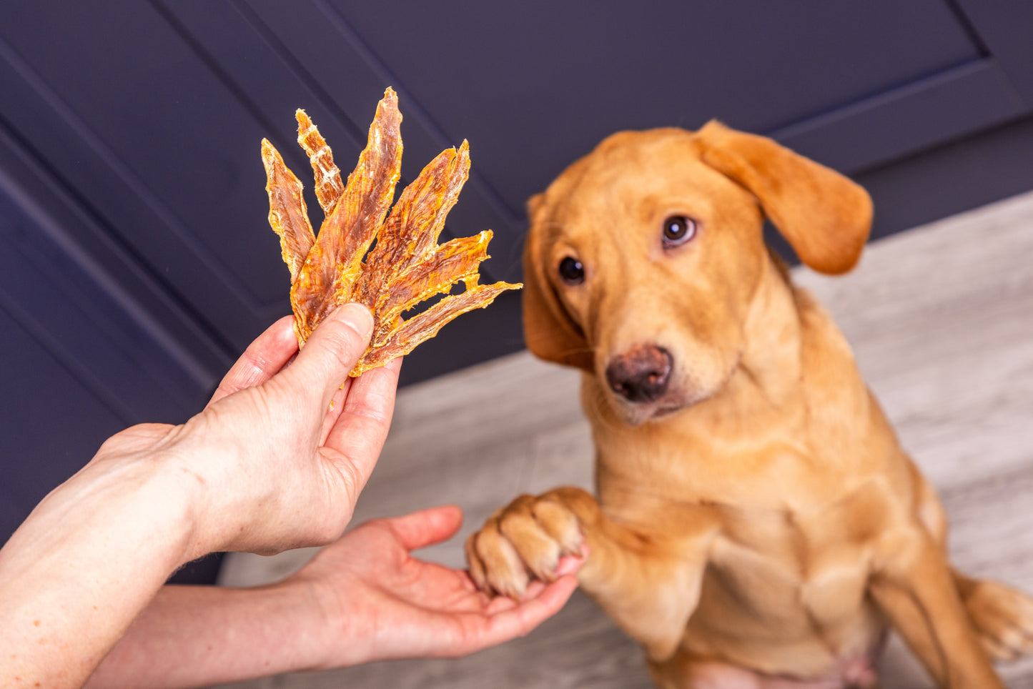 Duck Jerky