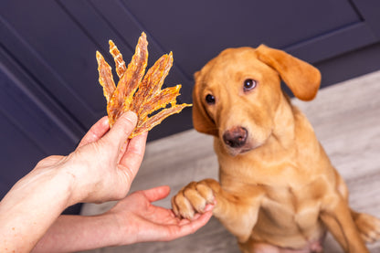 Duck Jerky