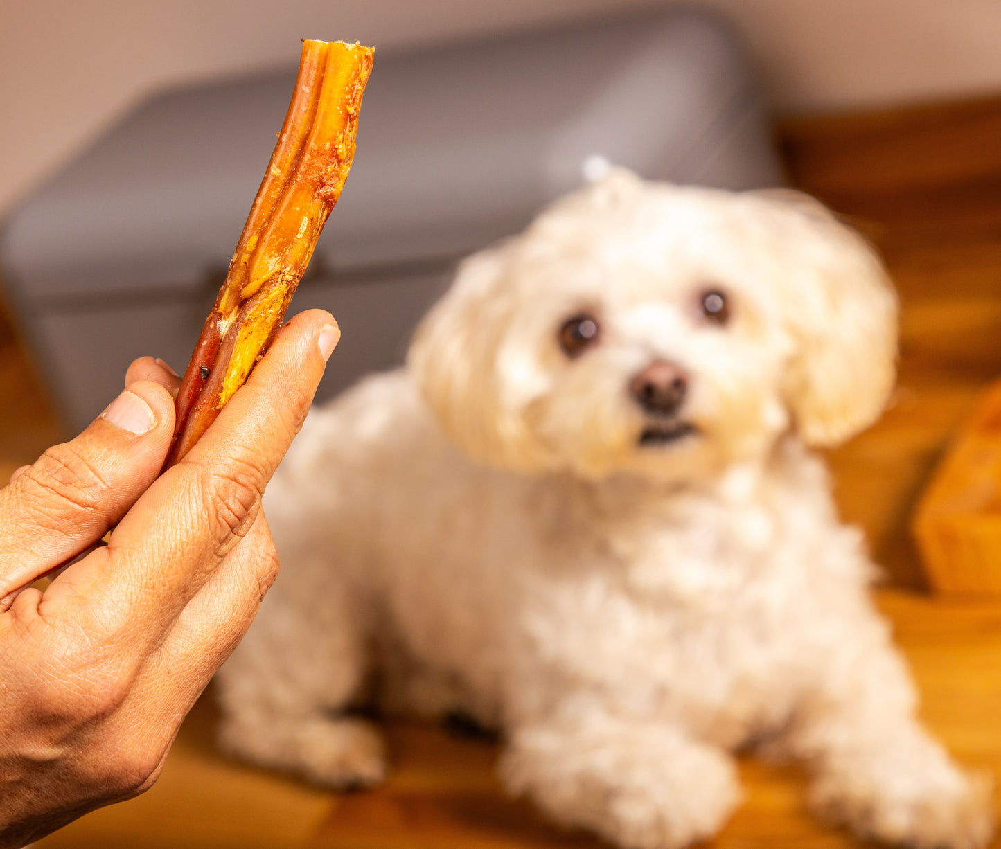 British Pizzles "Bully Sticks"