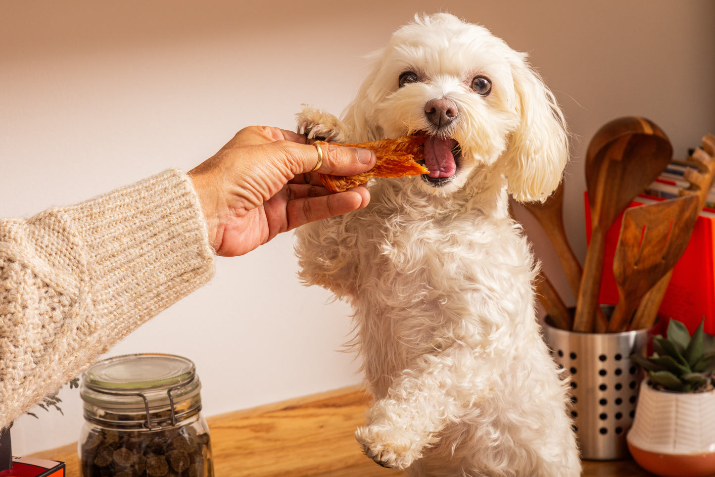 Chicken Jerky