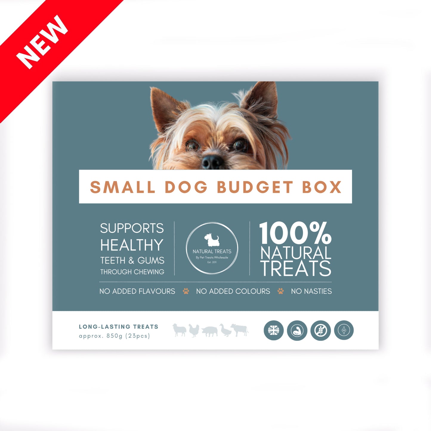 Budget Box - Small Dogs