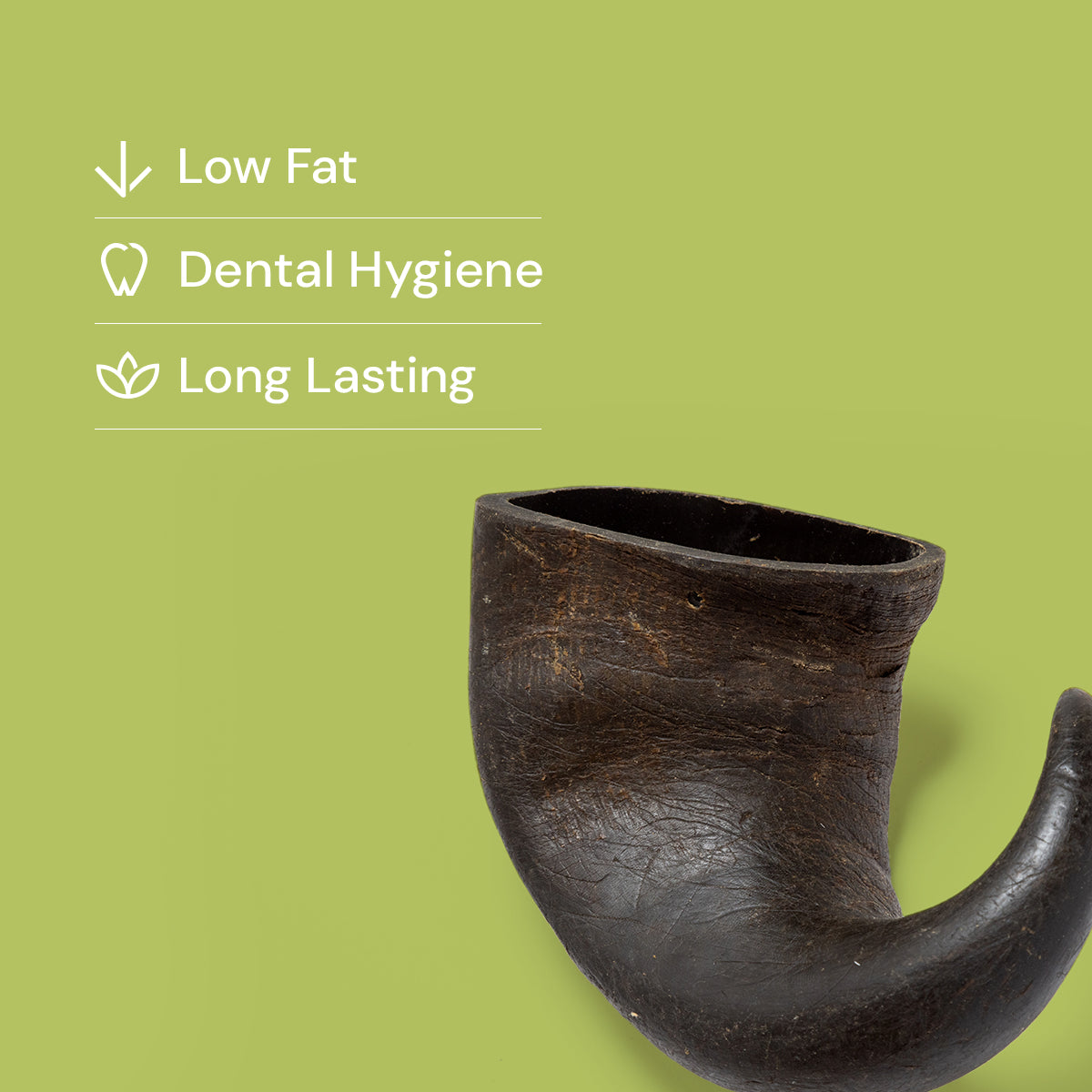 Buffalo Horns (1pc)