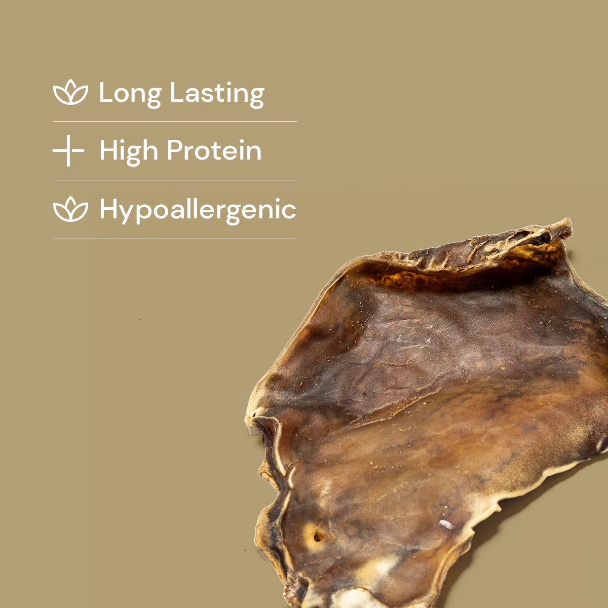 Camel Skin Plates