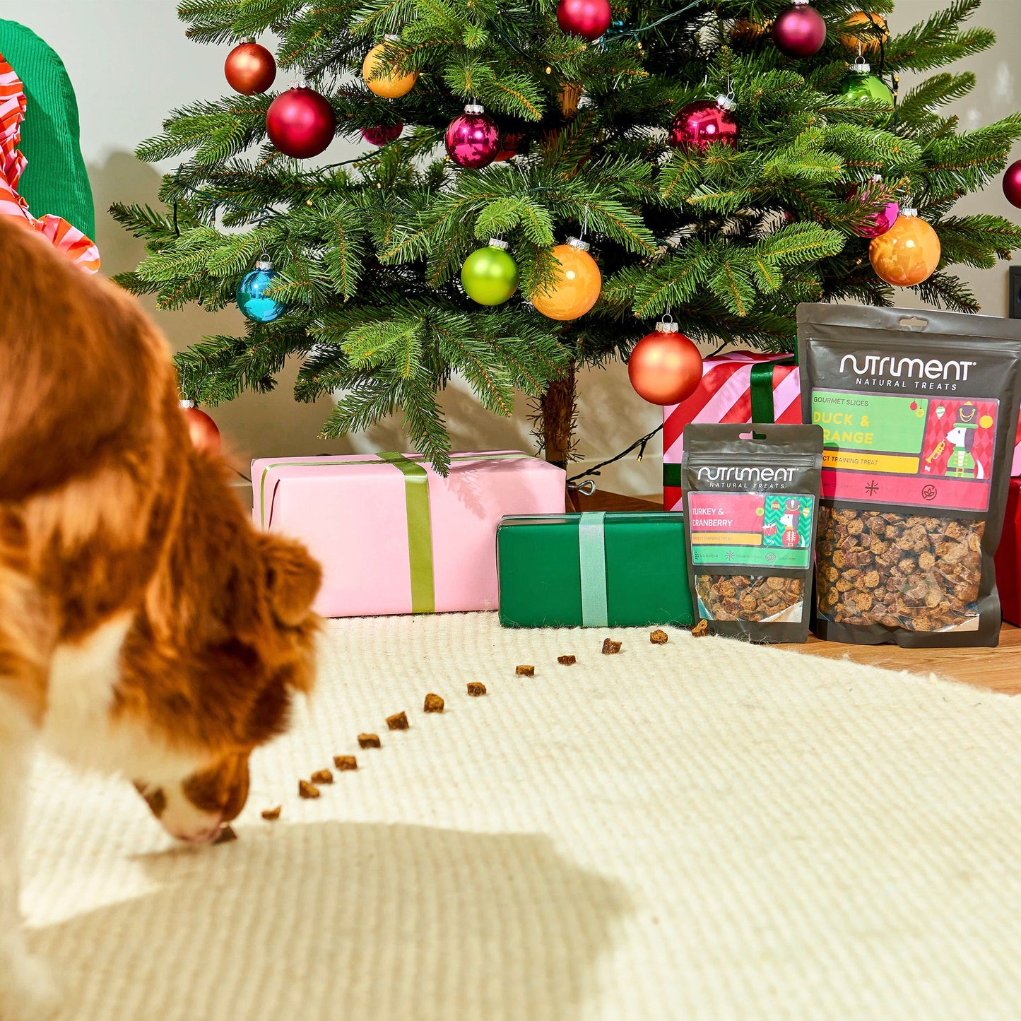 Gourmet Slices - Festive Flavours