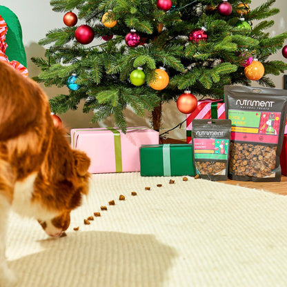 Gourmet Slices - Festive Flavours