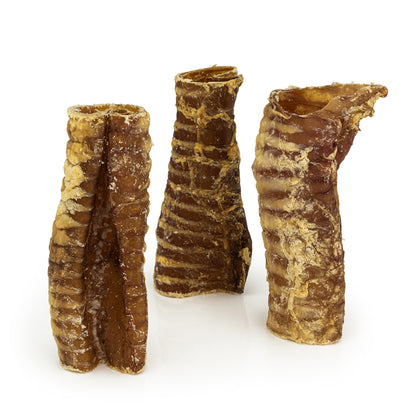 Cut Trachea "Cut Gullet"