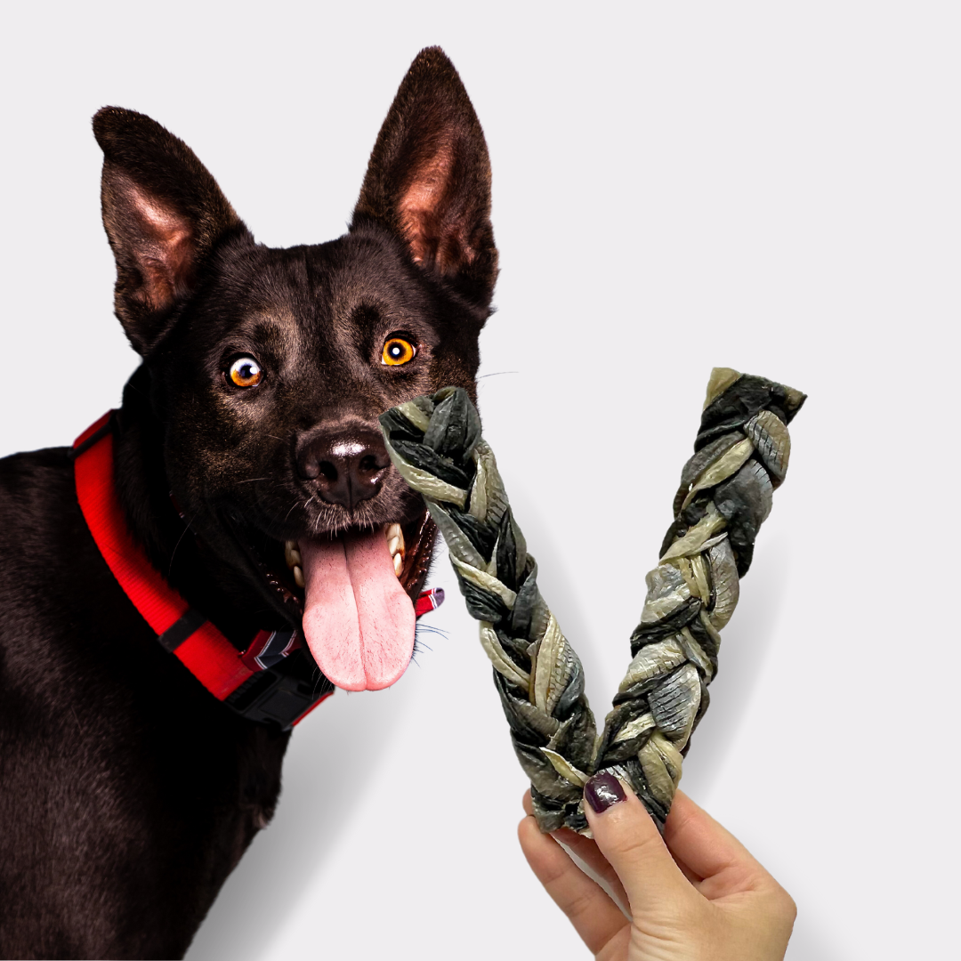 Shop Fish Skin Braids 300g bags Online Pet Treats Wholesale