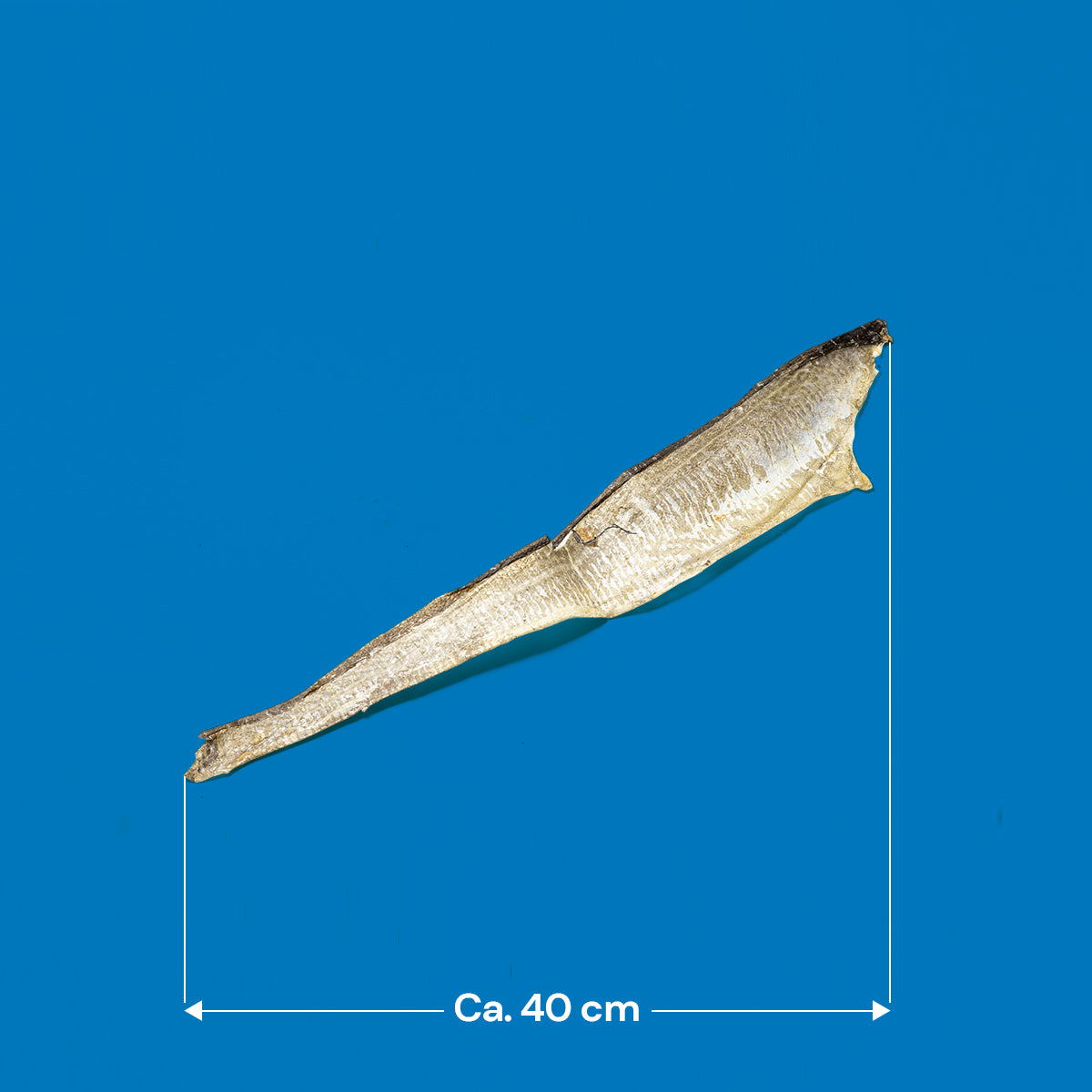 Fish Skin Flats