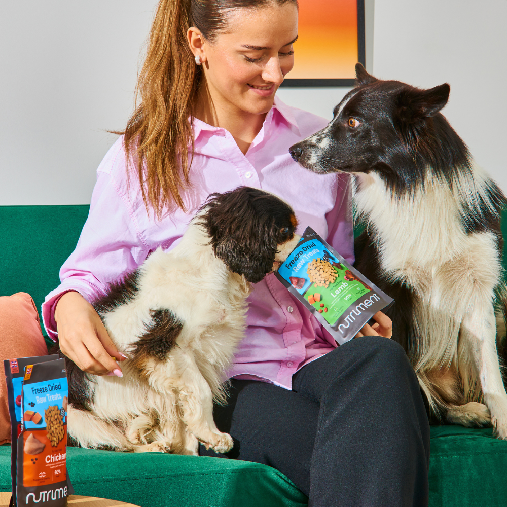 Freeze Dried Treats