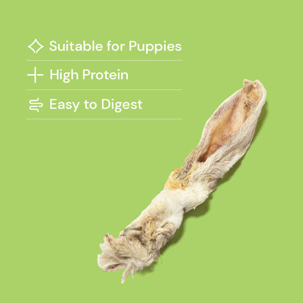 Proselect Rabbit Treat Shop Hairy Rabbit Ears (250g, 500g, 1kg, 5kg & 10kg) Online - Pet ...