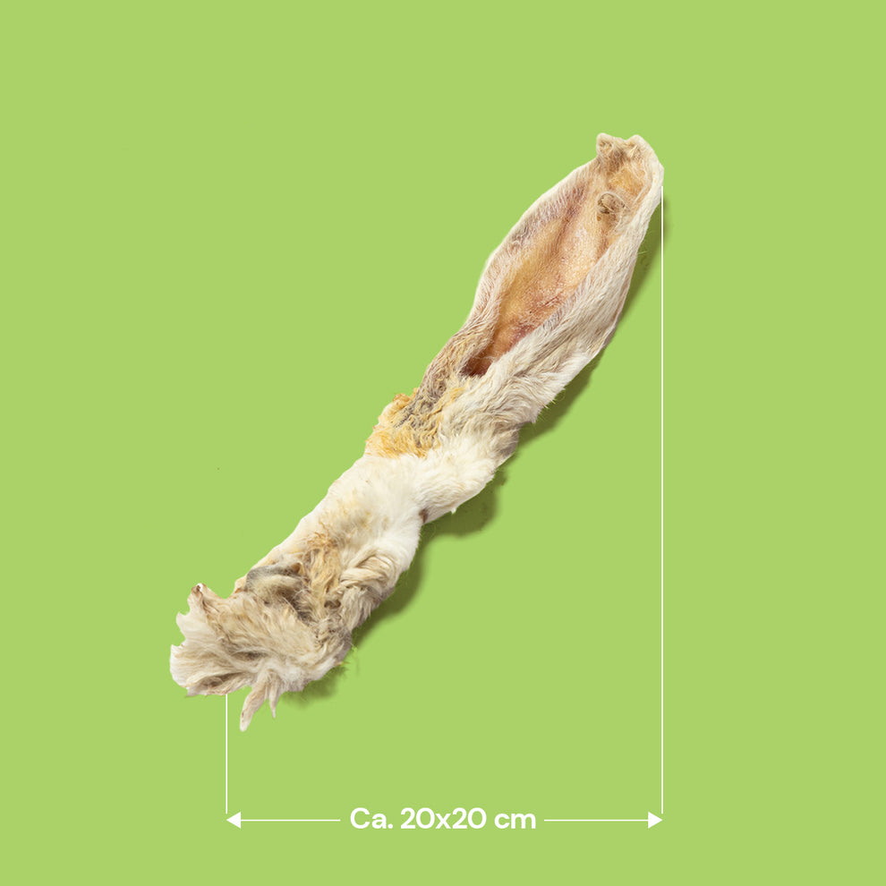 Shop Hairy Rabbit Ears (250g, 500g, 1kg, 5kg & 10kg) Online - Pet ...