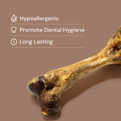 Jumbo Ostrich Bones