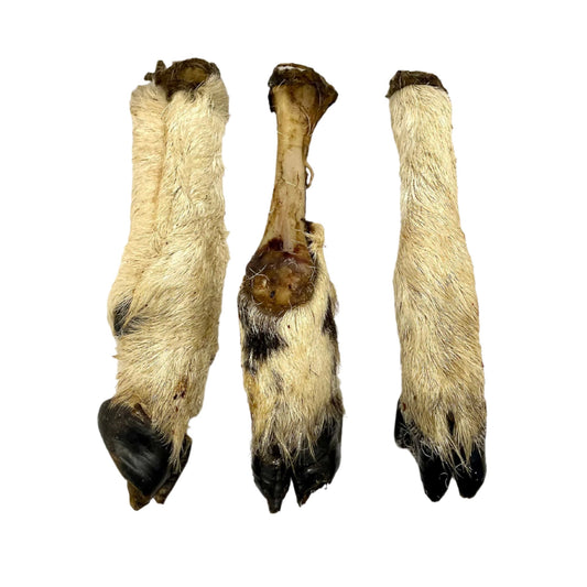 Hairy Lamb Legs "Lamb Feet" (5pcs, 10pcs & 50pcs)