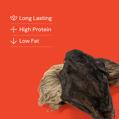 Large Hairy Cow Ears