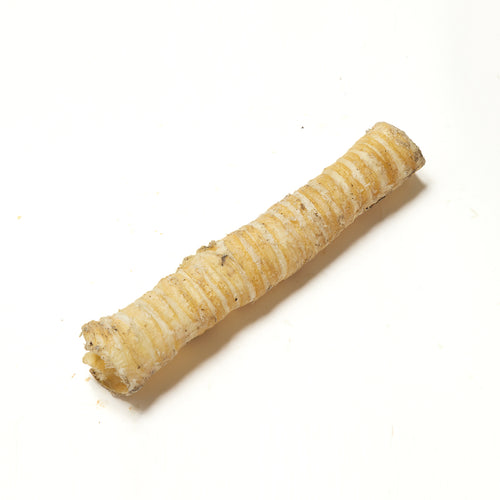 Long Trachea (Mixed 15-40cm)