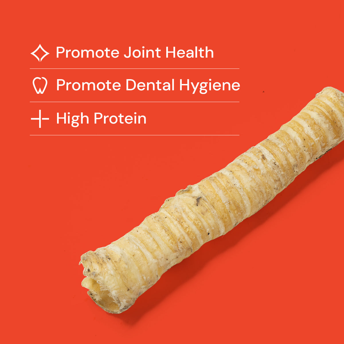 Long Trachea (Mixed 15-40cm)